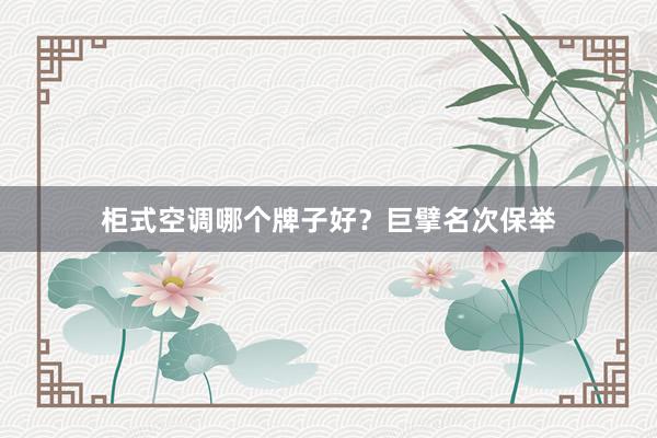 柜式空调哪个牌子好？巨擘名次保举