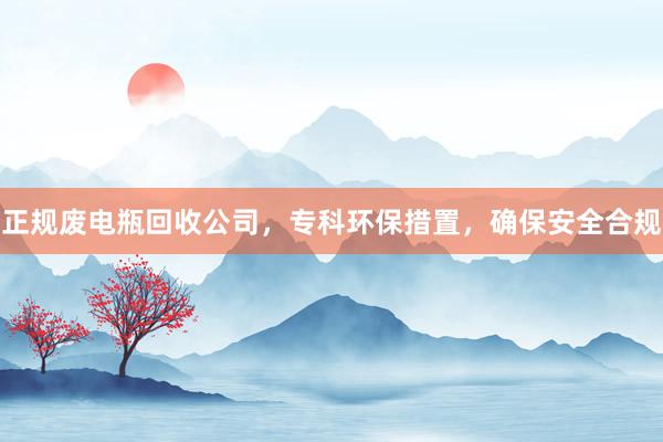 正规废电瓶回收公司，专科环保措置，确保安全合规